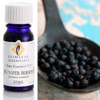 Juniper Berry