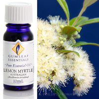 Lemon Myrtle
