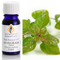 Marjoram
