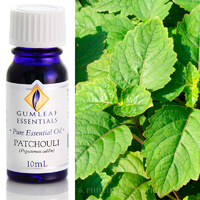 Patchouli
