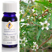 Tea Tree Lemon Scented