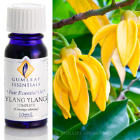 Ylang Ylang