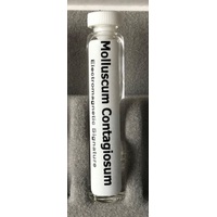 Molluscum Contagiosum Virus