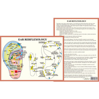 Ear Reflexology A4