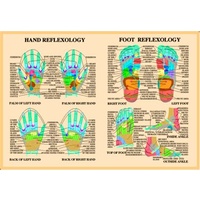 Foot & Hand Reflexology charts (Sale)