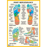 Reflexology A4 & A2 charts