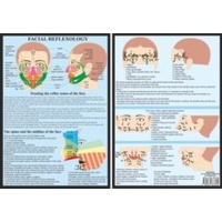 Facial Reflexology A4