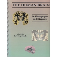 Human Brain in Photographs and Diagrams (S/H)