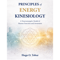 Principles of Energy Kinesiology