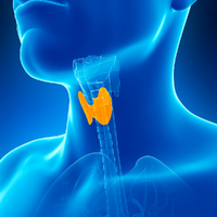 Thyroid (HPT) Test Kit