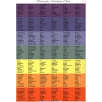 Kinesiology Emotion Chart