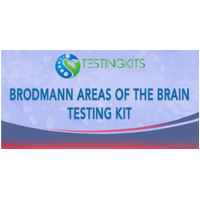 KTK Brodmann Areas Testing Kit PB
