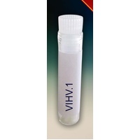 COVID 19 - Omicron - Subvariant HV.1