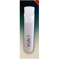 COVID 19 - Omicron - Subvariant JN.1