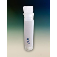 Moderna & Variants Vaccination vials