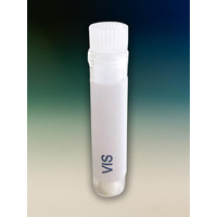 Sars Corona Virus (pre 2019)