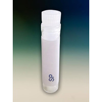 COVID 19 Spike Protein