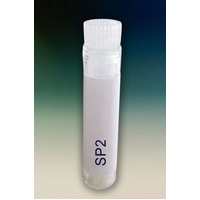 COVID 19 Spike Protein (S2)