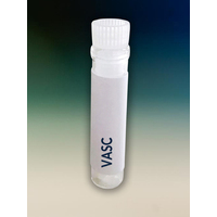 Sinovac Vaccination Vial