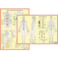Meridians & Acupuncture Points