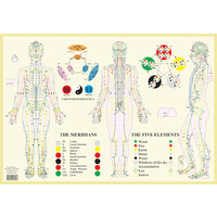 Meridians & the Five Elements Chart