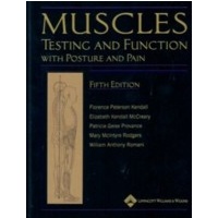 Muscles: Testing & Function (sale)