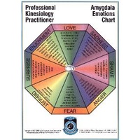 5 Element Emotion Chart