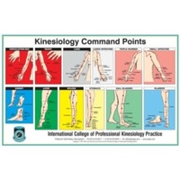 Kinesiology Command Point
