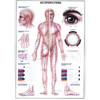 Acupuncture Wall Chart (LAMINATED)