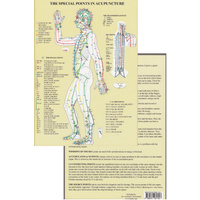 Special Points in Acupuncture