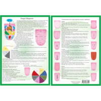 Tongue Diagnosis A4