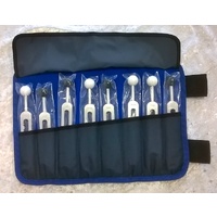 8 Extra Meridian Set