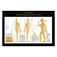 TFH Acupuncture Chart (damaged)