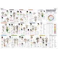 Applied Kinesiology Wall Chart