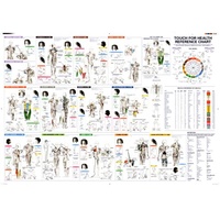 TFH Reference Chart (Sale)