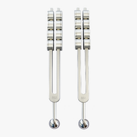 Brain Sound Tuning Forks