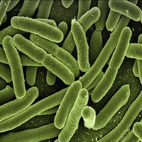 LWP Bacteria 1 Test Kit