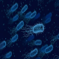 LWP Bacteria 3 Test Kit