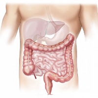 LWP Bowel Nosodes Test Kit
