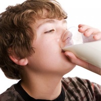 Food: Milks Test Kit
