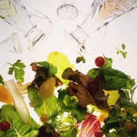 LWP Food: Vegetable Oils Test Kit