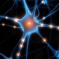 LWP Neurotransmitter Test Kit