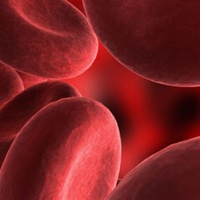 PH10 Lymph, Blood & Immune Test Kit