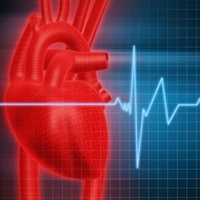 PH11 Circulatory System Test Kit
