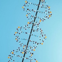 PH18 Chromosomes Plus Test Kit