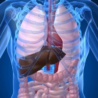 PH5 Gallbladder and Liver Test Kit