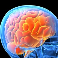 PH6B More Brain Test Kit