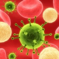 LWP Virus Kit