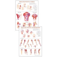 Trigger Point Wall Chart SET (SALE)