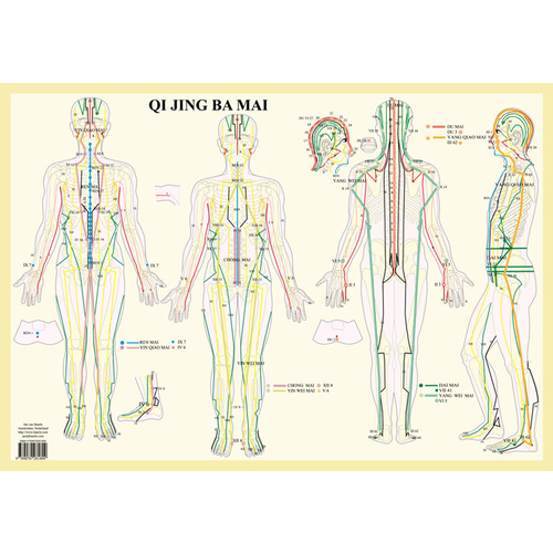 8 Extra Meridians Wall Chart
